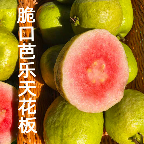 红宝石番石榴无籽芭乐脆甜低糖红心红肉番石榴水果礼盒顺丰包邮