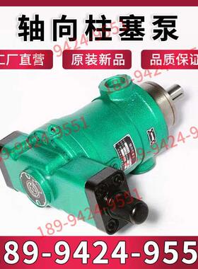 启东液压油泵10 25 40 63 80 160YCY 250YCY14-1B轴向柱塞泵高压