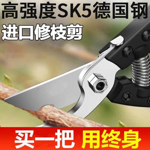 德国进口剪树枝专用剪刀园林果树园艺专用sk5钢修花剪子省力
