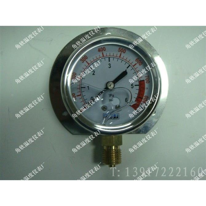 YN60T 0-6MPA 径向带后边/不锈钢外壳/耐震压力表 压力表 减压表