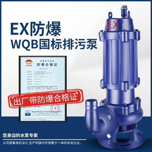 BQW防爆潜水排污泵ex国标潜污泵380V三相矿厂加油站集水坑污水泵