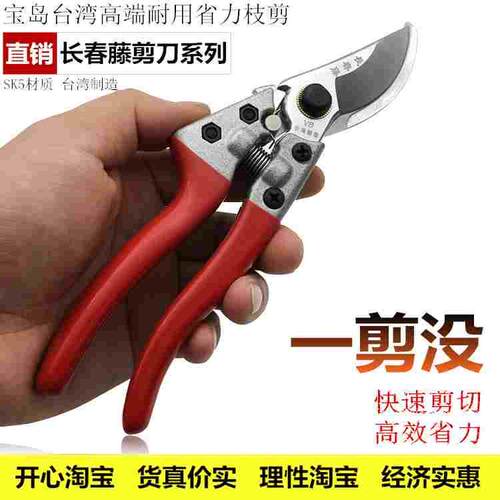 修枝剪园艺工具 花剪园林果树粗枝剪修剪果枝树枝剪园艺修花剪刀