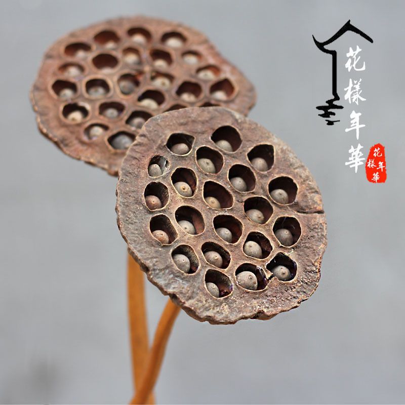 莲蓬干花天然禅意装饰真杆带籽原生态落地拍摄道具花束