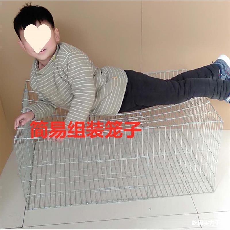 鸽子笼鸟笼运输鸡笼笼养笼兔笼大号家用网片兔养殖装鹅组装丝网笼