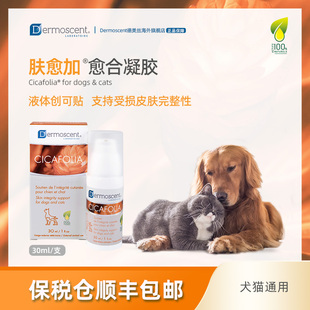 法国德美丝肤愈加犬猫术后绝育外伤愈合凝胶 效期至2026年5月