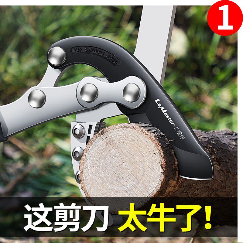 剪树枝专用剪刀加长园艺大剪刀剪枝果树修枝修剪园林枝剪工具神器图片