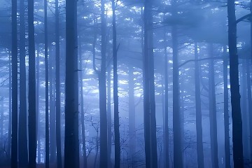 高清森林梦幻意境风景自粘墙贴客厅酒店卧室飘窗背景贴纸装饰壁画
