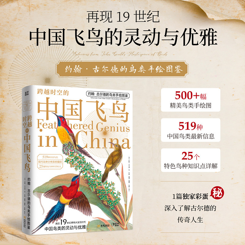 【知乎官方】跨越时空的中国飞鸟 约翰古尔德的鸟类手绘图鉴 中国鸟类图鉴 中国鸟类观察手册 鸟类大全百科全书 519种中国飞鸟 - 实物图