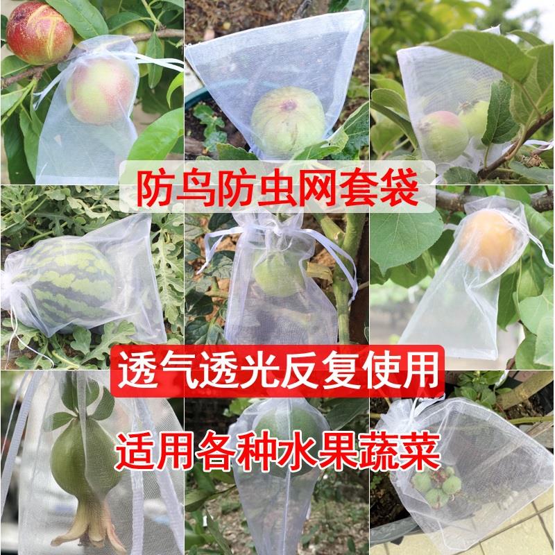 草莓套袋水果套袋防鸟防虫专用网袋葡萄无花果枇杷芒果桃子袋草莓