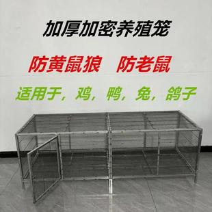 鸡笼家用鸭笼兔笼防鼠家禽防黄鼠狼加密加厚养殖笼厂家直销家用笼