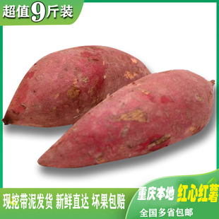 重庆新鲜本地红心红薯地瓜红苕当季粗粮红薯种子现货番薯沙地红薯