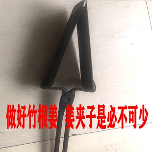 四川重庆竹根姜种植专业工具姜夹子手工打造锄头挖姜窝子种植工具