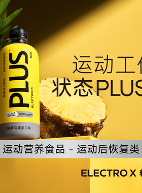 ELECTROX粒刻 电解质饮料菠萝马黛茶高强度运动后恢复500mL*15瓶