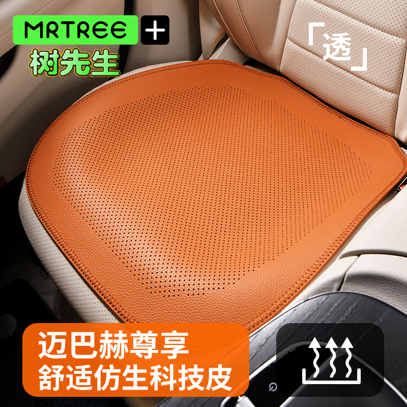 树先生薄款冬天适用于奔驰车垫子
