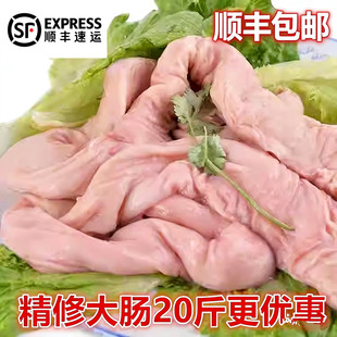 顺丰包邮新鲜土猪大肠大肠头去油肥猪肠生鲜冷冻肥猪大