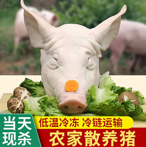新鲜整只猪脸头半带骨