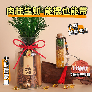 肉桂生财香薰摆件招财干花花瓶玻璃瓶千层金客财厅位乔迁新居搬家
