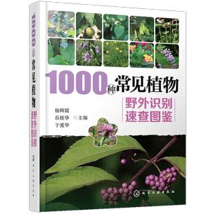 家庭书籍野外识别原植物鉴别图册中国常用手册 杨辉霞 1000种常见植物野外识别速查图鉴 图识别与应用图典图谱书籍 书