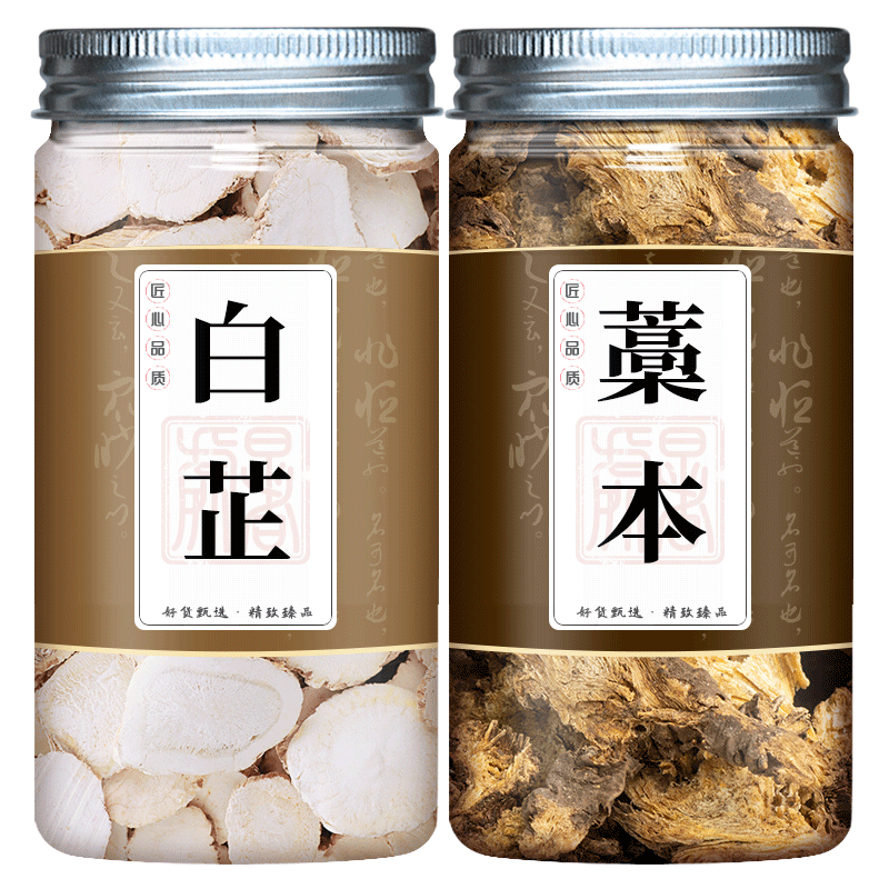 藁本白芷组合中药蒿本加川白芷片