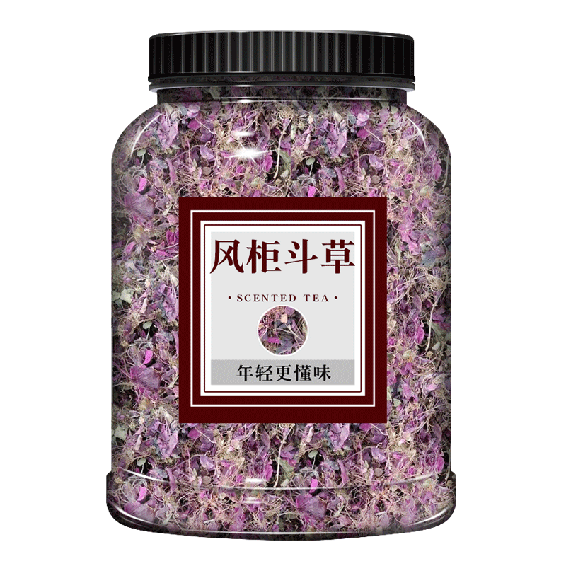 风柜斗草中药材褚红风柜斗草野生养护肝风骨草肉穗草槠头红风谷草