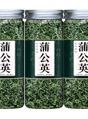蒲公英茶新茶叶干货婆婆丁