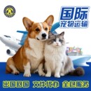 上海国际宠物托运运输服务客舱猫狗出国回国手续美加日本韩国欧洲