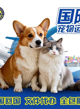 国际宠物托运运输出国回国文件