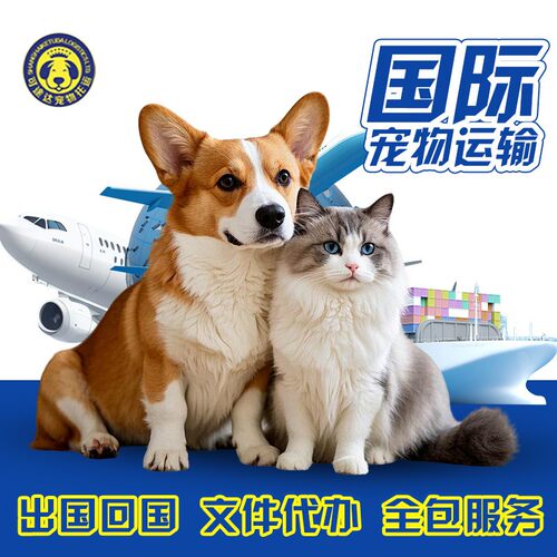国际宠物托运运输出国回国文件