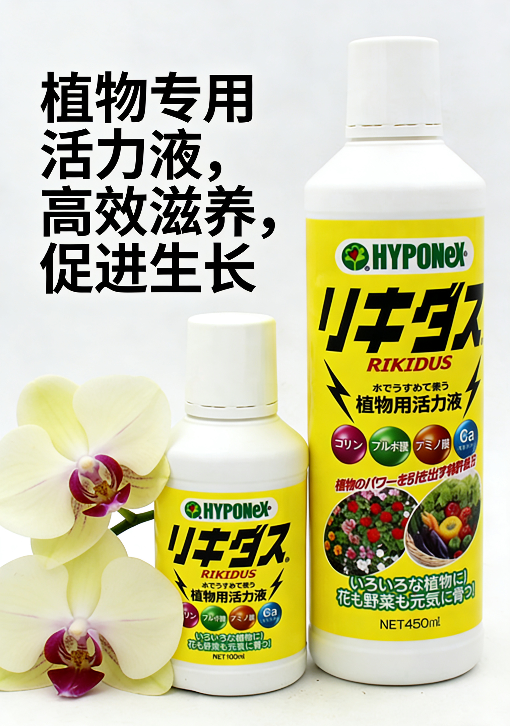 日本进口花宝植物活力液根活力微量元素花卉植物热植蝴蝶兰通用肥,鲜花速递/花卉仿真/绿植园艺,家庭园艺肥料,淘宝优惠券,粉丝福利购,淘宝优惠卷