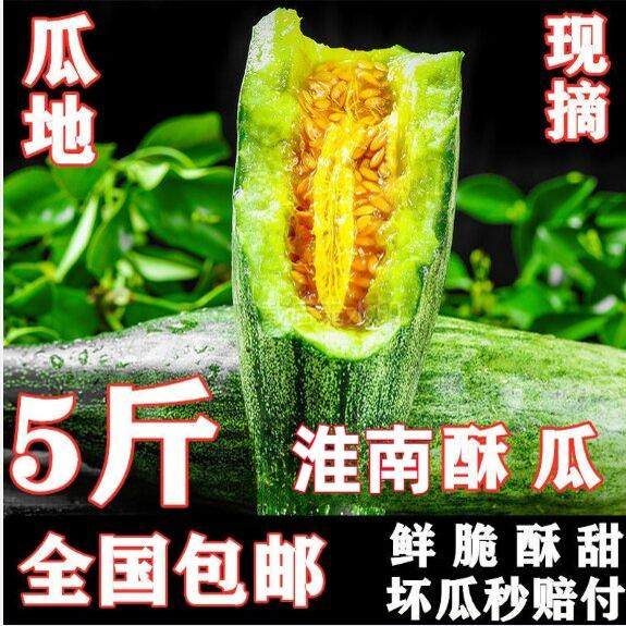 安徽淮南特产羊角酥酥瓜苏瓜蘇瓜羊角蜜代楼戴楼新鲜采摘