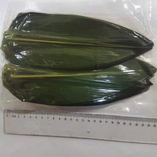 新品new Fresh bamboo leaves vacuzum packaging penduWlum deco