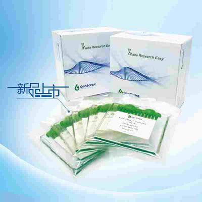 金斯瑞 预制胶配套 电泳液（Running Buffer） WB转印液