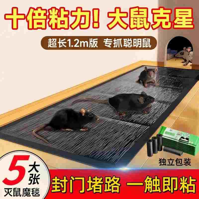 德国老鼠粘强力粘鼠板超强家用灭鼠魔毯胶粘大号捕鼠神器捕粘鼠板