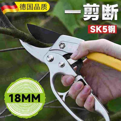 德国SK5钢剪树枝专用剪刀园林花木剪子修剪树枝粗枝省力大剪刀