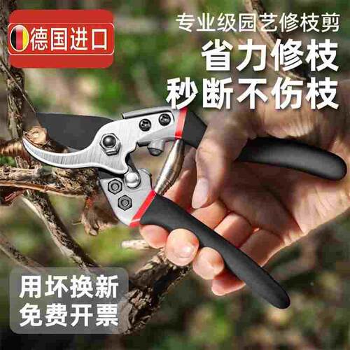 德国进口剪树枝专用剪刀园艺剪修枝剪果树修花多功能用合金钢SK5