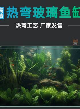 热弯鱼缸透明小型中型客厅阳台桌面造景家用金鱼斗鱼乌龟玻璃鱼缸