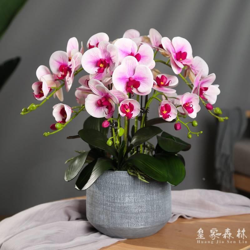 新款蝴蝶兰仿真花卉客厅电视柜假花艺盆景摆件餐桌面花装饰品摆设