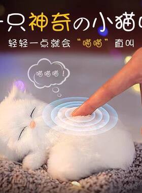 玩具猫仿真会叫抱布娃可爱
