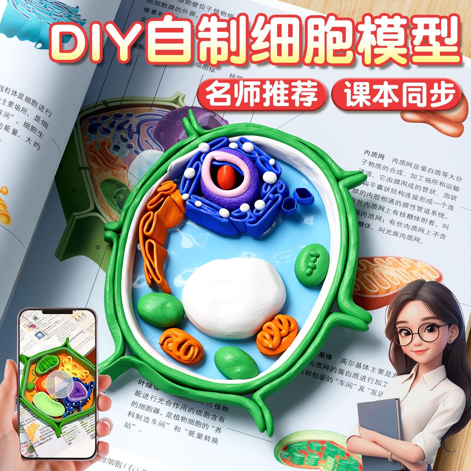 细胞模型制作材料七年级上