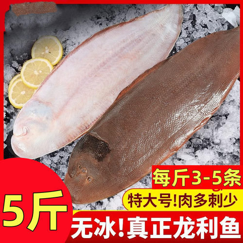 龙利鱼冷冻鳎目鱼比目鱼牛舌鱼龙