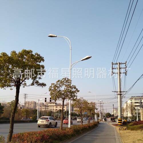 路灯厂10米120米双臂灯L家ED路灯主干道照明厂家直销LED2EWE5W大