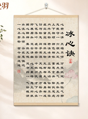 冰心诀禅意挂轴装饰画客厅玄关