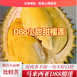 北马榴【树熟液氮】小品种D88小甜甜或橙肉榴莲甘苦酒香适合老饕