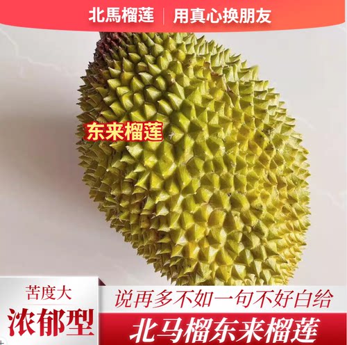 北马榴【树熟液氮】马来西亚D232东来榴莲带苦浓郁回甘奶味十足