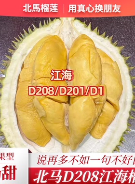 北马榴【树熟液氮】马来西亚品种D208江海榴莲清甜奶香个头不大