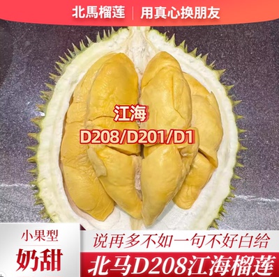 北马榴【树熟液氮】马来西亚品种D208江海榴莲清甜奶香个头不大