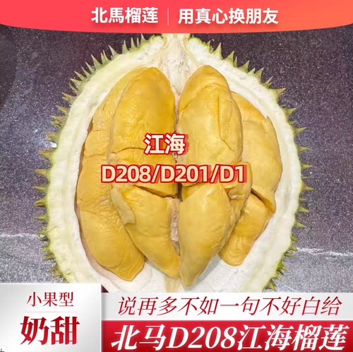 北马榴【树熟液氮】马来西亚品种D208江海榴莲清甜奶香个头不大