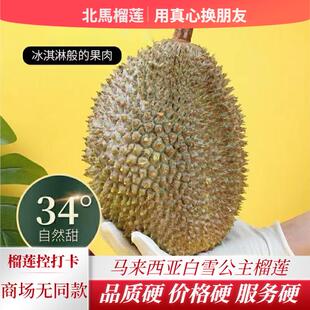 北马榴【树熟液氮】稀有品种白雪公主榴莲酷似猫山王果肉纯甜无苦