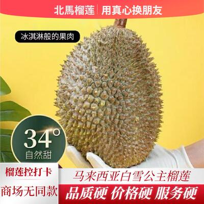 北马榴【树熟液氮】稀有品种白雪公主榴莲酷似猫山王果肉纯甜无苦