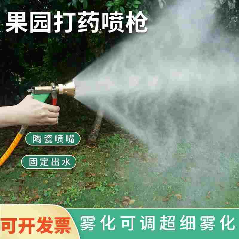高压喷雾枪果树园林喷枪意大利进口打药机可调雾化手压枪水枪农用